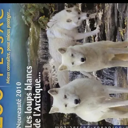 Mignon Petit Independant *