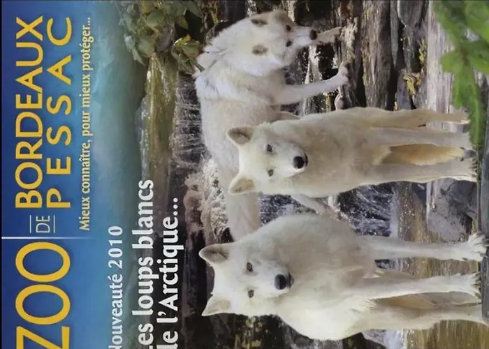 Mignon Petit Independant *